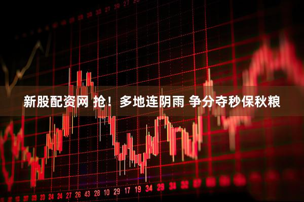 新股配资网 抢！多地连阴雨 争分夺秒保秋粮